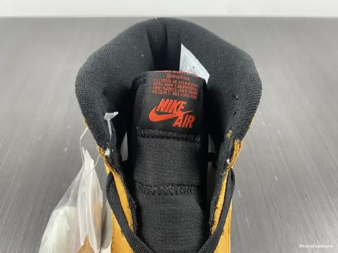 MaikeSneakers 1 Curry Element High DB2889-700 Jordan Light Gore-Tex 0614